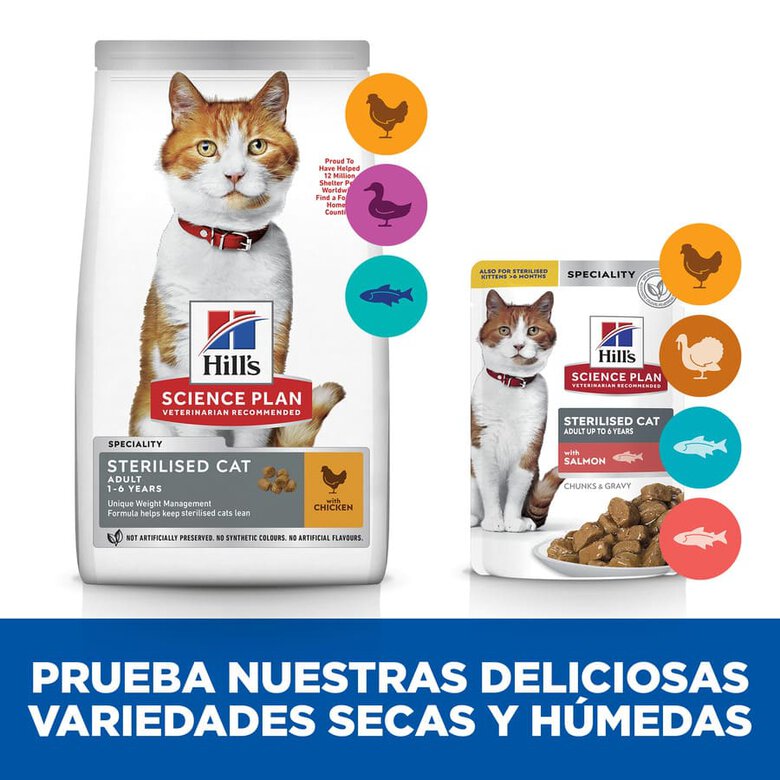 Hill's Young Adult Science Plan Sterilized Salmão Saquetas para gatos, , large image number null